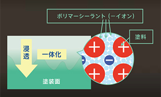 カーコーティングイメージ